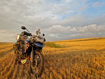 Triumph Tiger 800 XCx - 7