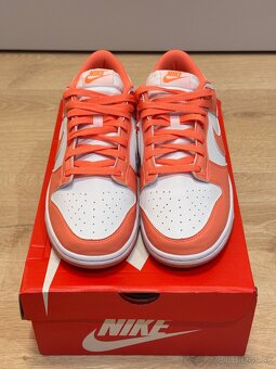 Nike Dunk low / mango 44 - 7