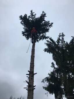 Rizikove pilenie stromov,kosenie a cistenie pozemkov - 7