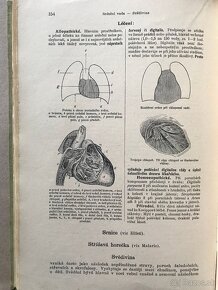 Zlatá kniha praktického lékařství domácího, Sandtnerová - 7