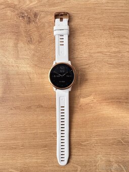 Garmin Fenix 6s Pro - 7