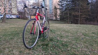 Trek Alpha 2.5 Ultegra - 7