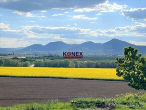 Vínny domček s krásnou vinicou – obec Viničky - 7