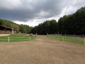 DRAŽBA-POZEMKY V KATASTRÁLNOM ÚZEMÍ KÁLNICA, OKRES NMnV - 7