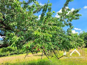 Veľkorysý, 2,5 ha pozemok v Krupine - časť Kopanice - 7