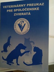 Predám Šteniatka Jagdteriera. 6 týždnové - 7