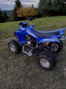 Yamaha Raptor 350 - 7