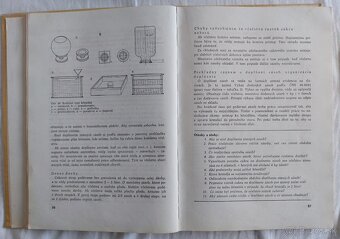 Včelárstvo - Jozef Rejnič - 7