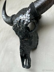 Lebka Byvol- Bubalus Bubalis, Mozaikový vzor 59cm - 7