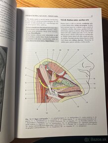 Základy anatómie - 7