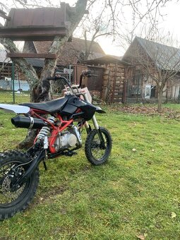 Predam Pitbike 140 stomp - 7