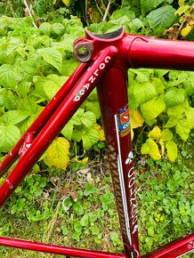 Colnago Master Del Tongo - 7