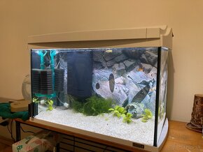 Tetra AquaArt LED akváriový set 60 l - 7