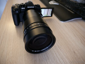 Panasonic LEICA DG ELMARIT 200mm f2.8 POWER O.I.S. + 1,4x Te - 7