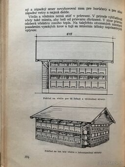 Včelárstvo, Slovenské výtvarné umenie 1918-1945, Borgiovci - 7