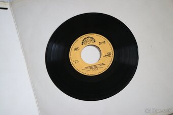 PREDÁM RÔZNE ZBERATELSKÉ LP PLATNE - 7