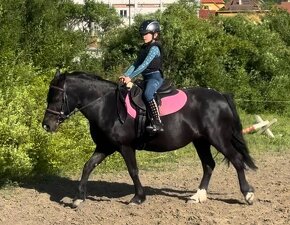 ❤ Pony kobylka 127 cm ❤ top povahy - 7