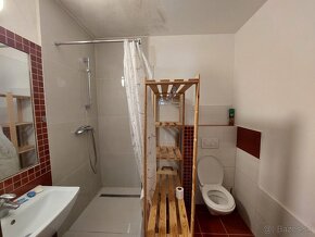 1 izbovy byt na prenajom/1 bdrm apartment to rent out - 7