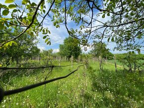 Pozemok s viničným domom na predaj Staré Levice. - 7