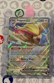 Pokemon TCG karty-V-Ex-Gallery-Promo-Radiant - 8