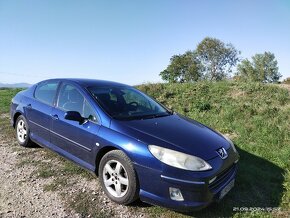 Peugeot 407 - 8