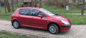 Peugeot 307 - 8