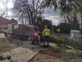 Výrub a ošetrenie stromov, frézovanie pňov - 8