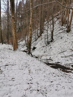 Králiky  pozemok a Potok 1649m2  na samote. - 8