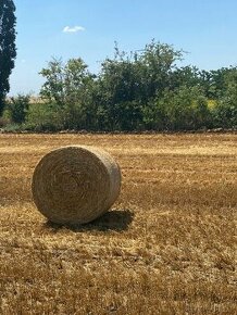 Lucerka a pšeničná Jačmenná slama ihneď k odberu - 8