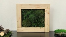 Predám obraz z machu: Drevo a kopčeky (30 x 25 cm) - 8