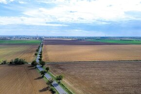 Orná pôda na predaj v obci Zvončín pri Trnave - 8