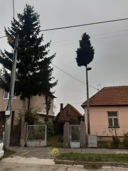 Arboristické a Pilčícke práce - 8