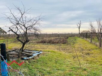 Rodinný dom v Okoličnej na Ostrove  časť Štúrová, okres Komá - 8