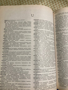 Predám "Websters Universal Dictionary and Thesaurus" - 8