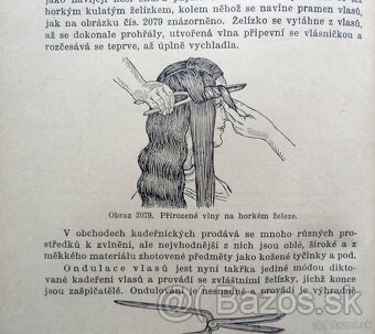 Praktická hospodyňka, starožitné knihy z roku 1928, oba díly - 8