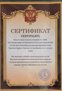 Mamutí kel figúrka s certifikátom - 8