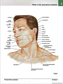 PDF - Netterov anatomický atlas človeka 6. vydanie SK - 8