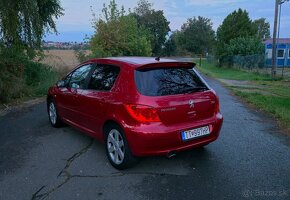 Peugeot 307 180 Platinum - 8