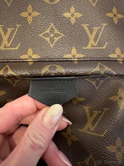 Louis Vuitton Palm Springs PM - 8