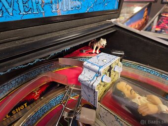 Pinball Dracula BSD - 8