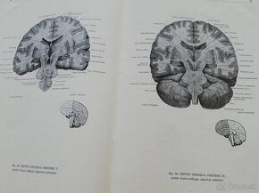 Atlas anatómie človeka 3 časti - 8