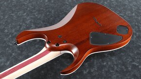 Ibanez RGAIX6FM-WFF - 8