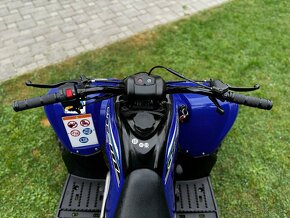 Yamaha Raptor 90 - 8