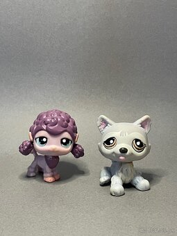 Littlest pet shop - 8