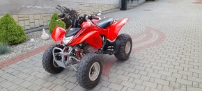 Honda Trx 250 2009 - 8