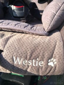 Autosedačka BabySafe Westie isofix 0-18 kg - 8