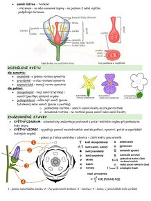 MATURITA biológia, chémia, fyzika - 8