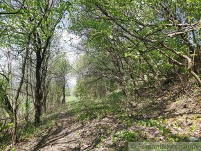 Pozemky v prírodnom prostredí na okraji obce Dolné Kočkovc - 8