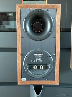 Dynaudio Heritage Special - 8