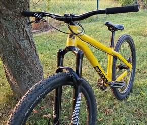 Nsbikes decade custom dirt - 8